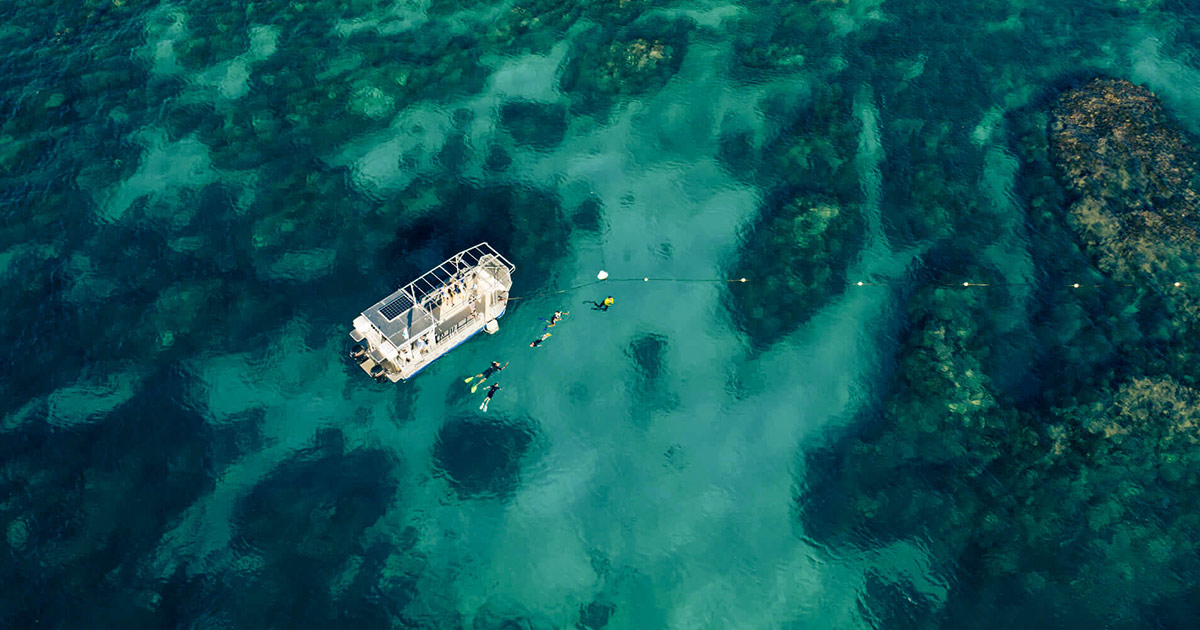 Von Meeresschildkröten, Macadamianüssen und Mantarochen